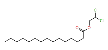 2,2-Dichloroethyl pentadecanoate